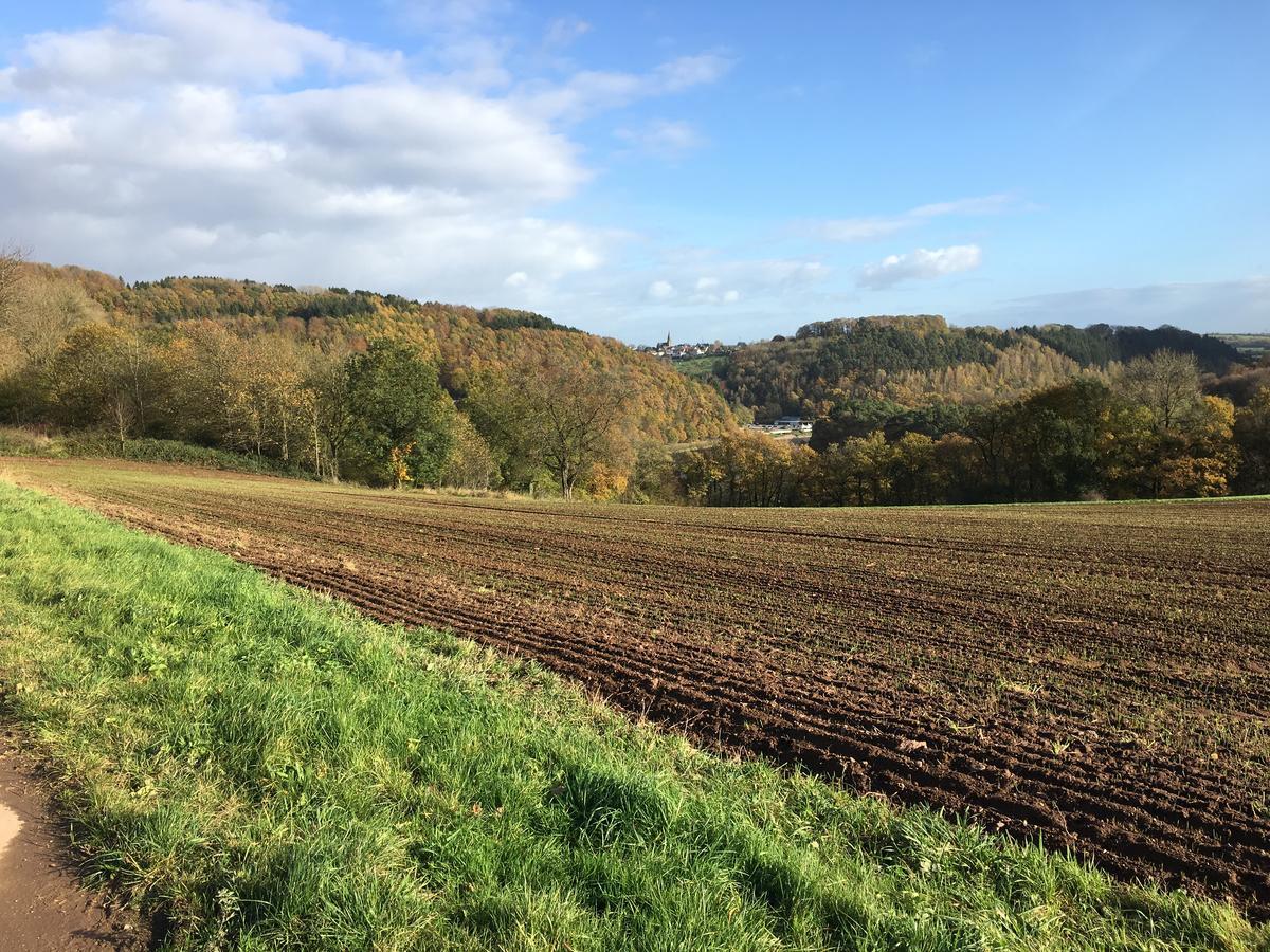 Ferienhaus Stausee Bitburg Biersdorf Exteriér fotografie